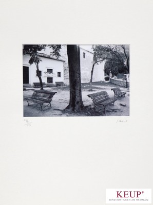 Bild Martin Rosner (1965)